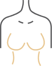 Body Frame Icon
