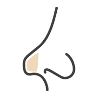 westfield icon box nose | Westfield Plastic Surgery Center Box nose icon