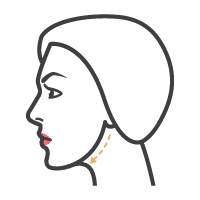 westfield icon jaw jowls | Westfield Plastic Surgery Center Jawline jowls icon
