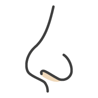 westfield icon nostrils | Westfield Plastic Surgery Center Nostrils icon